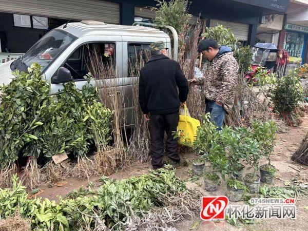 春耕备耕正当时，开启一年好光景的序幕_反馈评审和审查