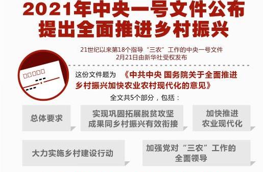 中央一号文件重磅来袭，乡村人才振兴蓝图揭秘，机遇与挑战并存，未来可期！_明确落实