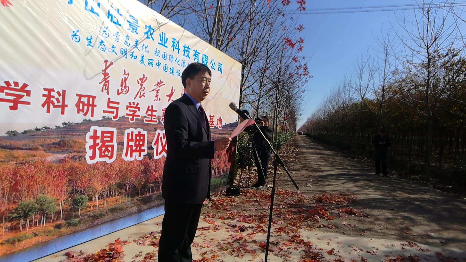 一生耕耘科研田，农业梦想铸就辉煌——农业科研者的执着追求与未来展望_具体执行和落实