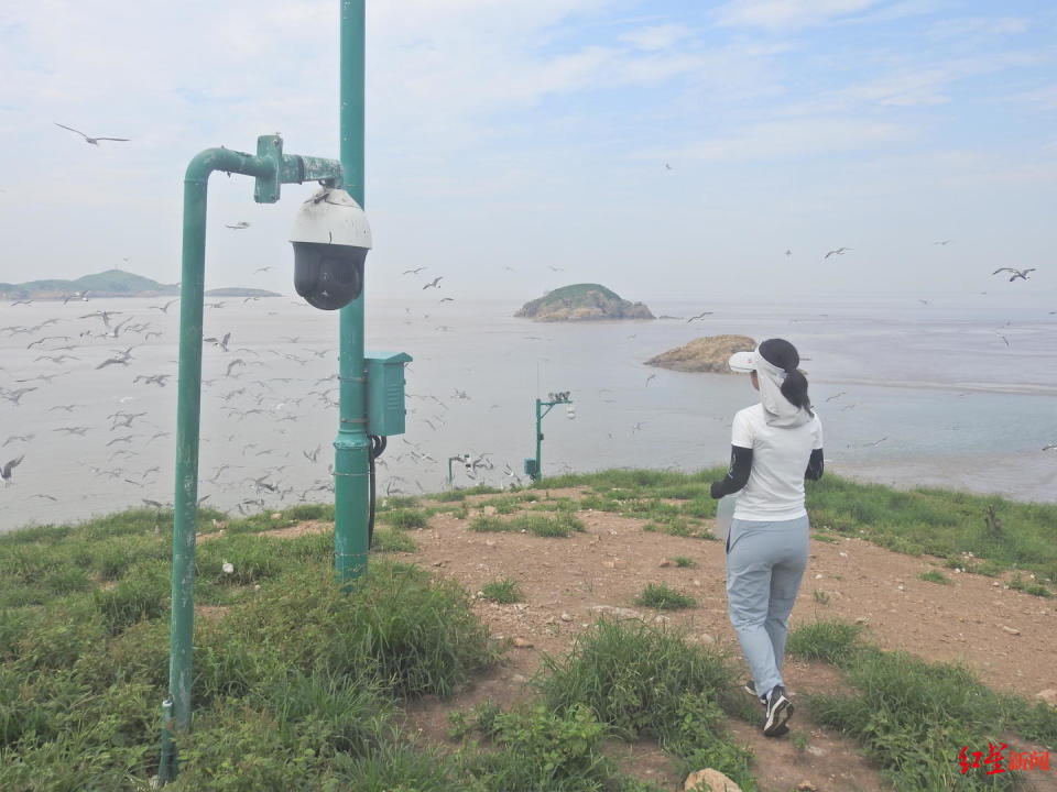 浙江海岛急聘守鸟人，神秘四个月孤岛生活揭晓！_最佳精选落实