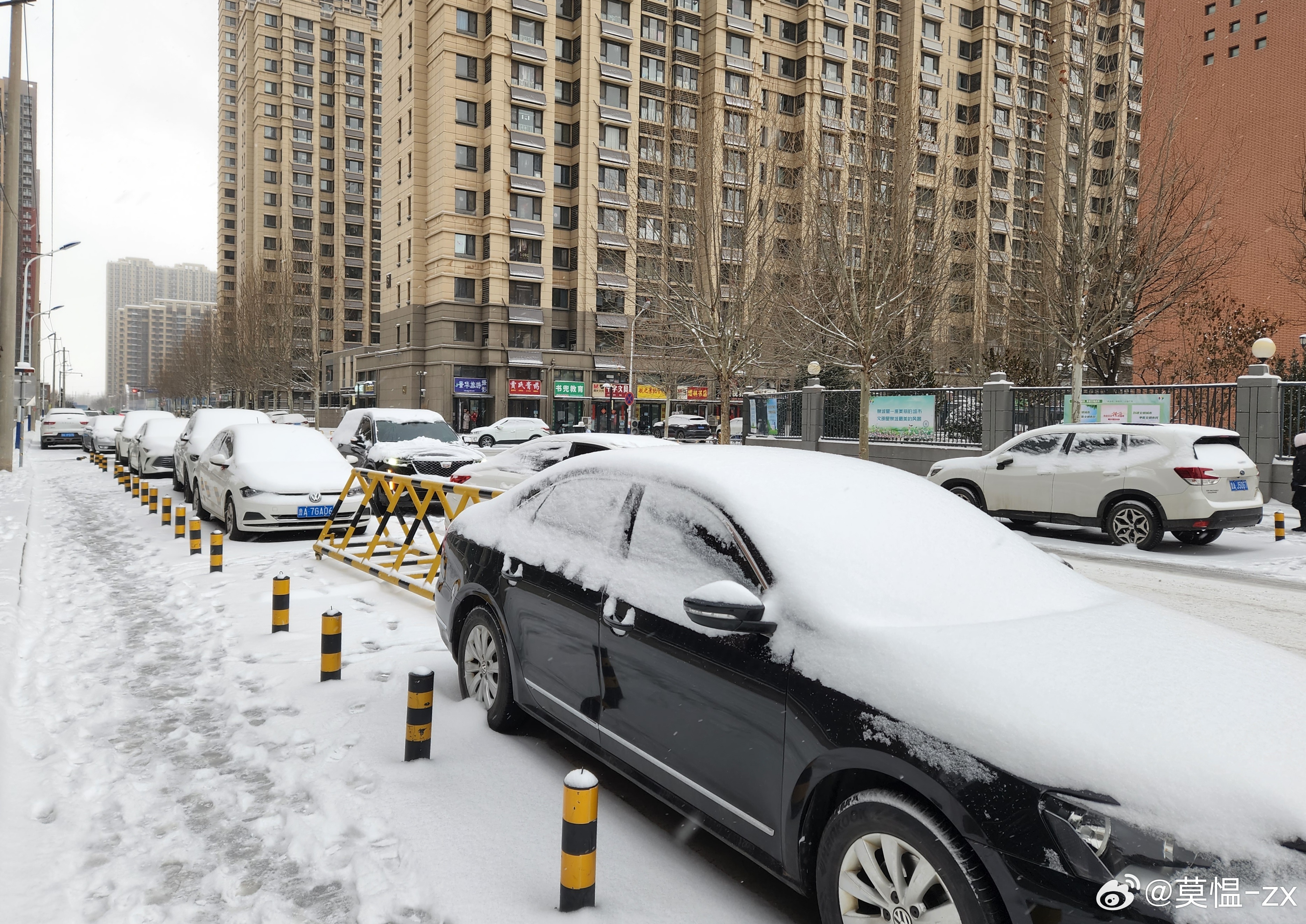 这次山东等地暴雪并不异常，深度解析背后的气候现象_反馈调整和优化