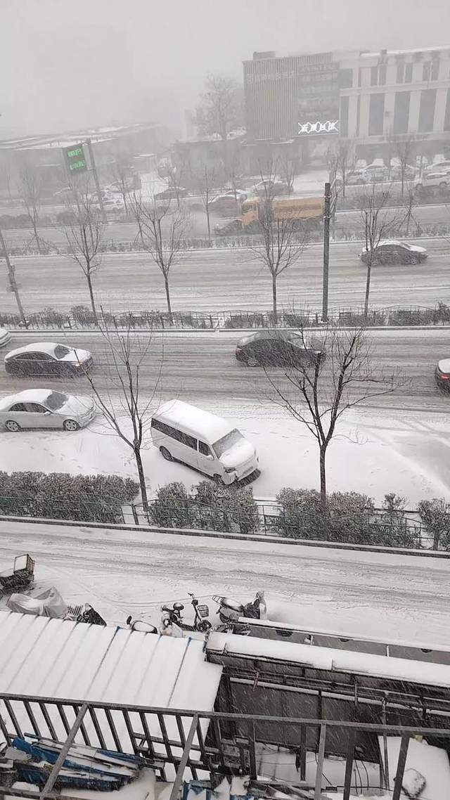 济南大暴雪，一场风雪的游戏专题深度解析_最佳精选