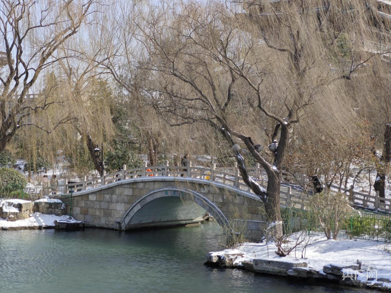 济南大明湖飞雪，水墨意境拉至极致！_全面解答落实