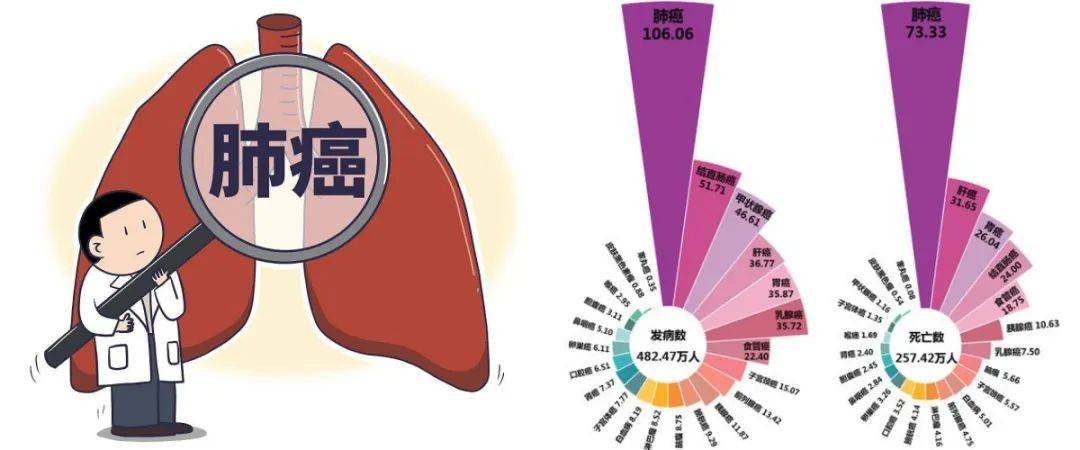 揭秘肺癌年轻化现象核心因素，研究照亮预防之路！_解答解释