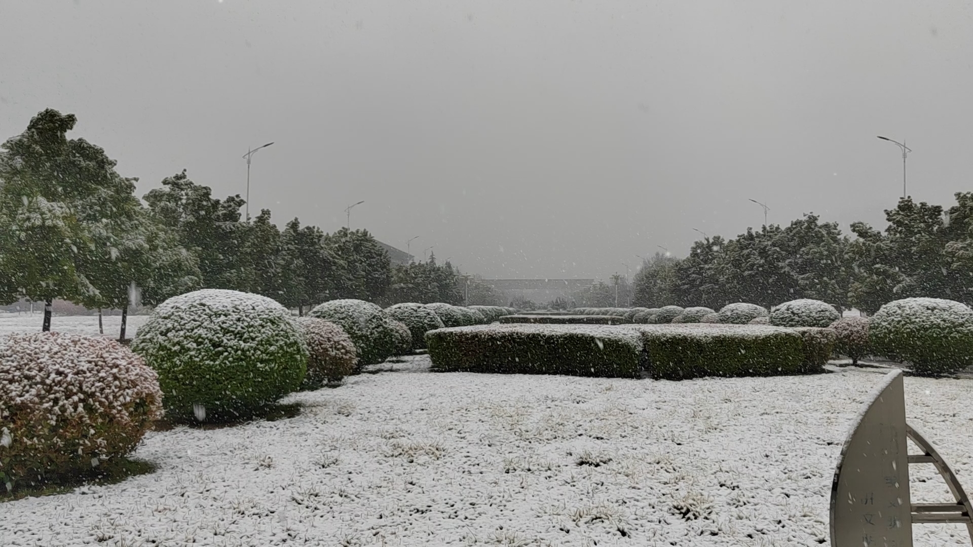 洛阳三月惊现飞雪奇观，雪中古都展现别样韵味！_贯彻落实