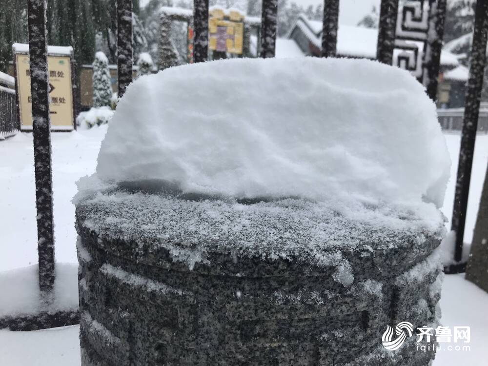 山东多地遭遇罕见暴雪，积雪深度惊人达13厘米！你准备好了吗？_动态词语解释落实