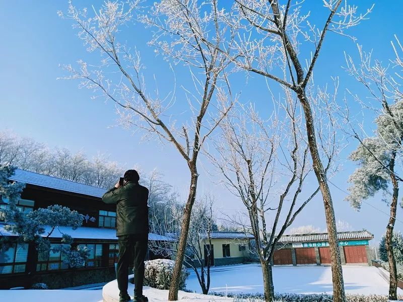 雪后的济南，美得惊艳，你未曾踏足的仙境！_动态词语解释落实