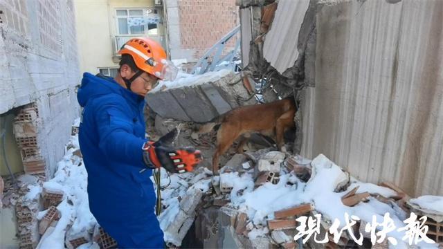 参与土耳其地震搜救犬小龙的神秘走失事件_详细说明和解释