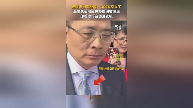 海尔总裁领带细节揭秘，家电巨头背后的故事，引领行业新潮！_有问必答