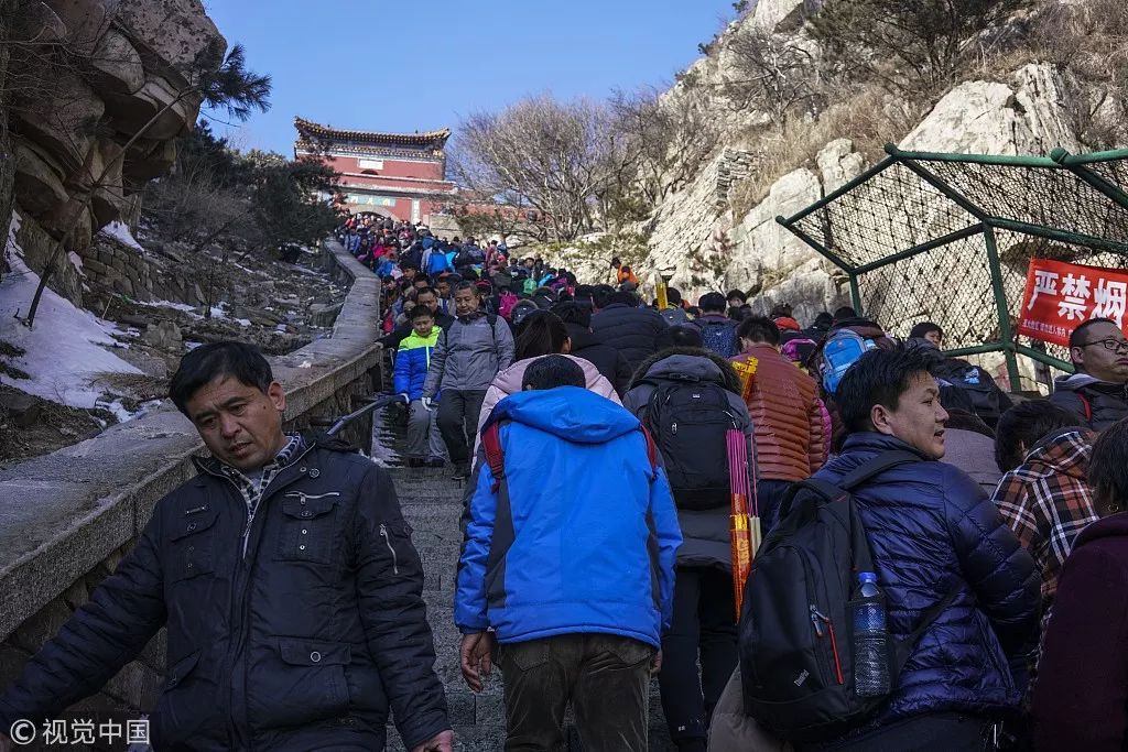 泰山陪爬年入三十万，追梦者的攀登之旅与挑战之谜_反馈执行和跟进