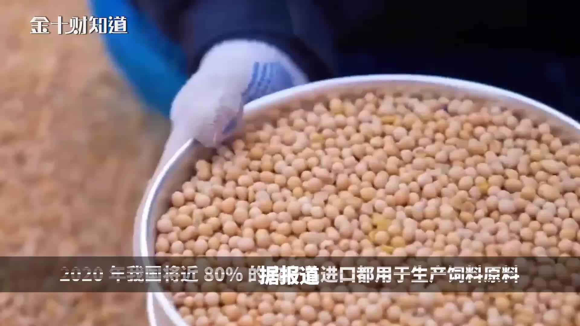 白糖也要被卡脖子？探究产业背后的挑战与机遇_最佳精选落实