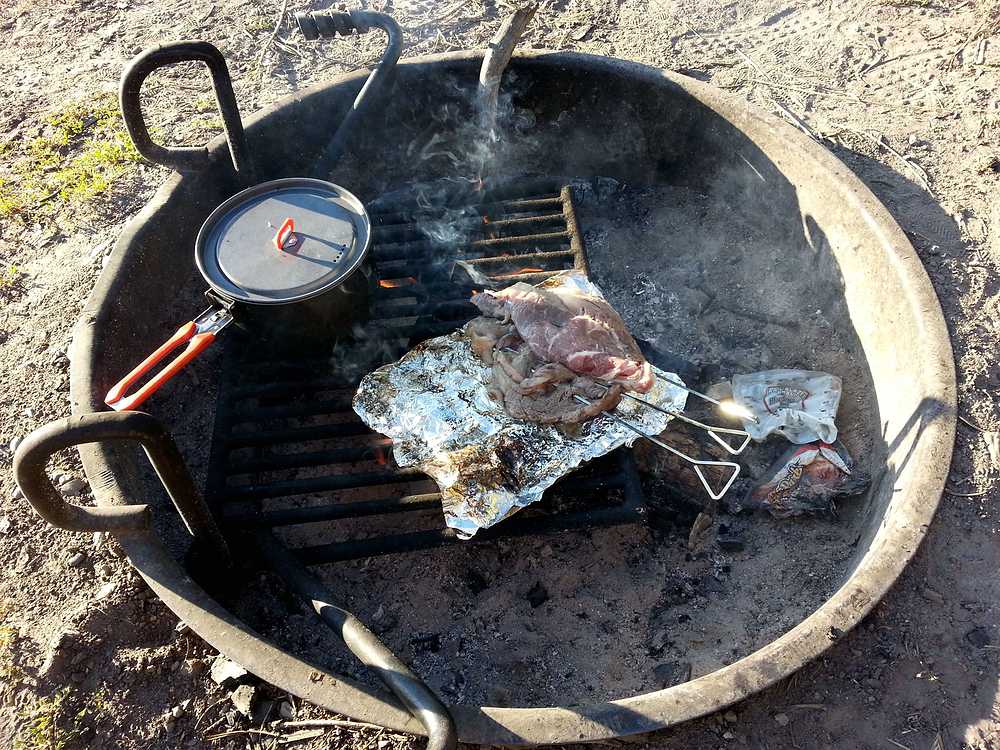 独家揭秘露营烤牛肉遭遇牛群突袭，美味牛肉竟被啃食一空！悬念重重，真相究竟如何？_资料解释落实