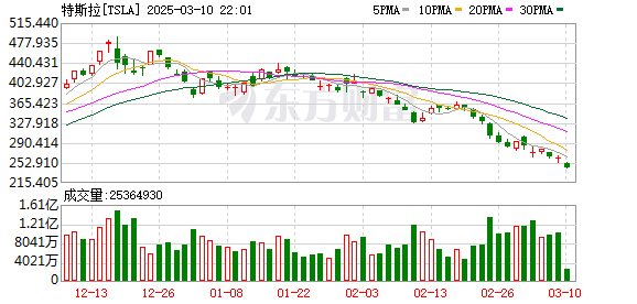 特斯拉股价遭遇腰斩？深度解析市场波动背后的真相_反馈分析和检讨