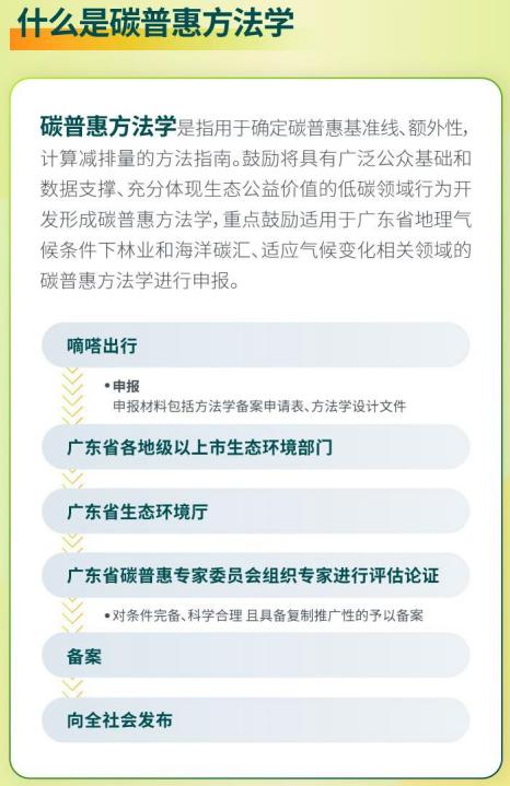 广东多地严查全职顺风车，行业新风向与挑战_知识解释