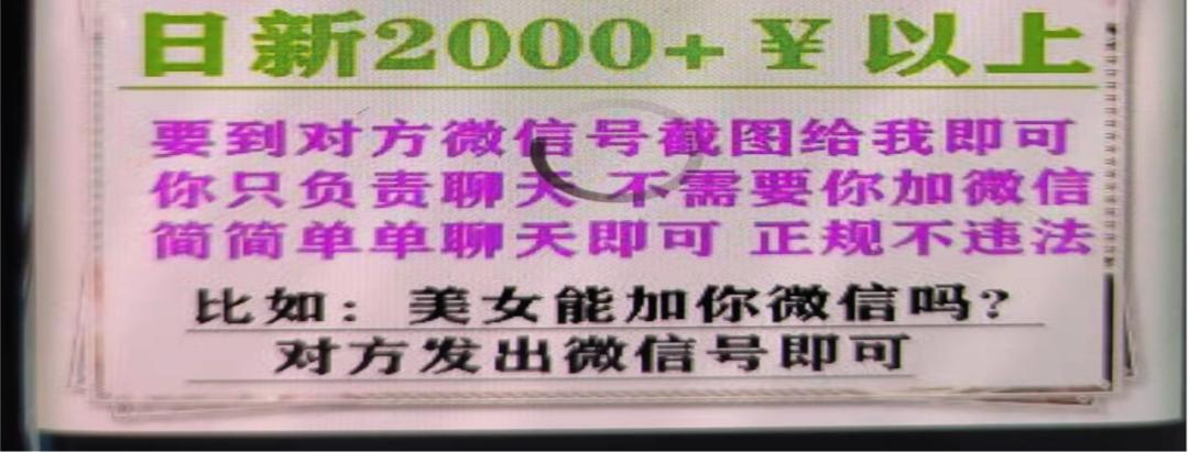 网警重拳出击！相亲遇假意男子及背后神秘团伙，7人被捕背后的真相揭秘！_反馈实施和计划