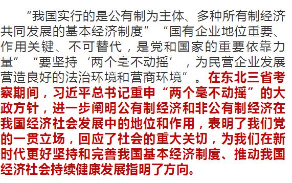 毫不动摇筑梦前行，坚持与落实两个毫不动摇引领时代风潮！_精准解释落实