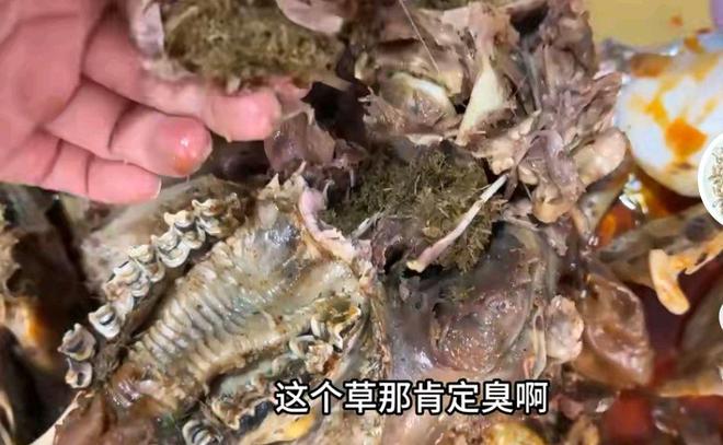 点卤羊头外卖惊现蛆虫，食品安全底线何在？深度剖析事件内幕_反馈结果和分析