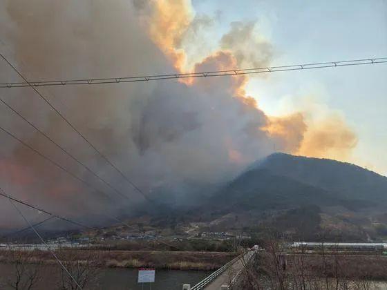 韩国宣布多地进入灾难状态